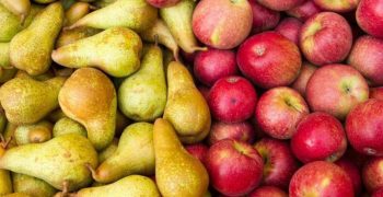 Argentina’s organic apple exports fall while pear exports rise