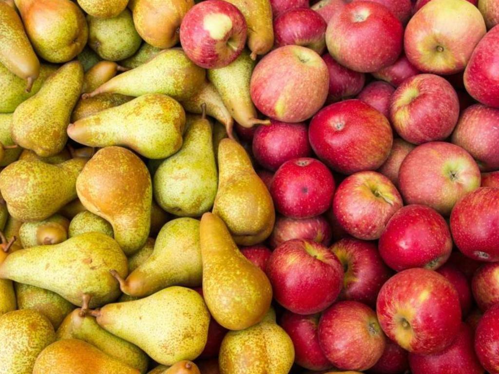 Argentina’s organic apple exports fall while pear exports rise