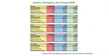 World Citrus Organisation (WCO) presents annual Southern Hemisphere production forecast