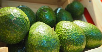 First Colombian avocados land in China