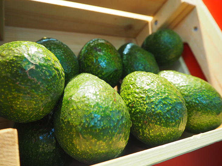 First Colombian avocados land in China © Eurofresh Distribution