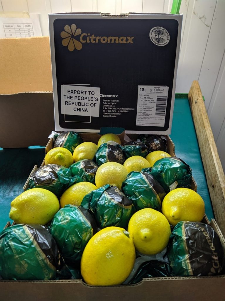 Citromax Group completes first exports of Argentine fresh lemons to China