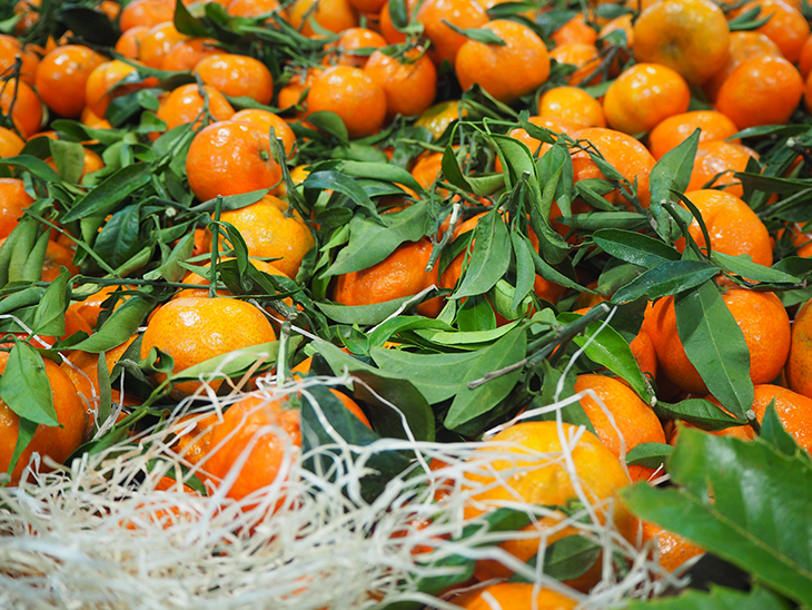 The rise and rise of South Africa’s soft citrus © Eurofresh Distribution