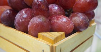 Bright summer in store for Californian grapes