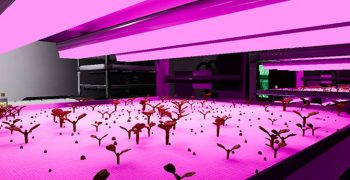 Hi-tech garden for growing veg on Moon and at Poles