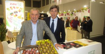 Granfrutta Zani increases volumes of white-fleshed peaches