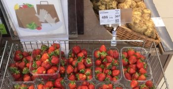 Strawberry and politics in Russia