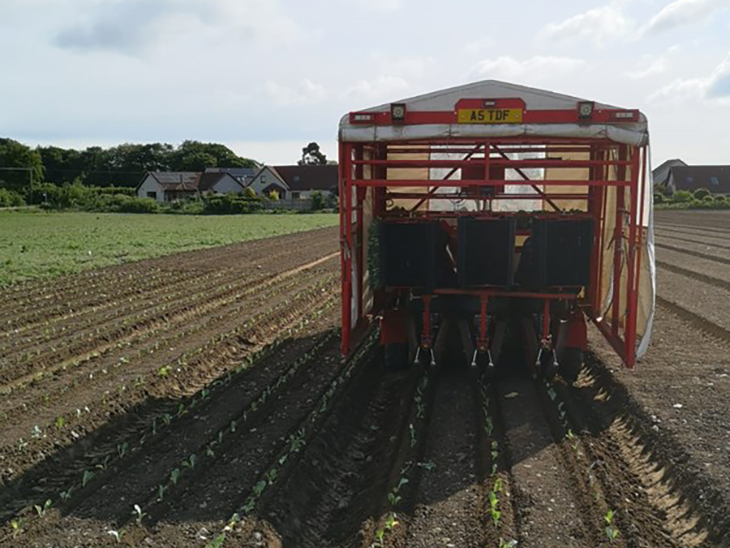 New AHDB strategic centre focuses on brassicas - Scotland SC ESG 05062020 trial planting 3