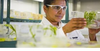 Tropic Biosciences partners with BASF to develop innovative traits for growers