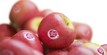 Record sales of Pink Lady® apples in Spain