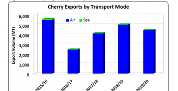Australian peach and nectarine exports hit by higher freight costs