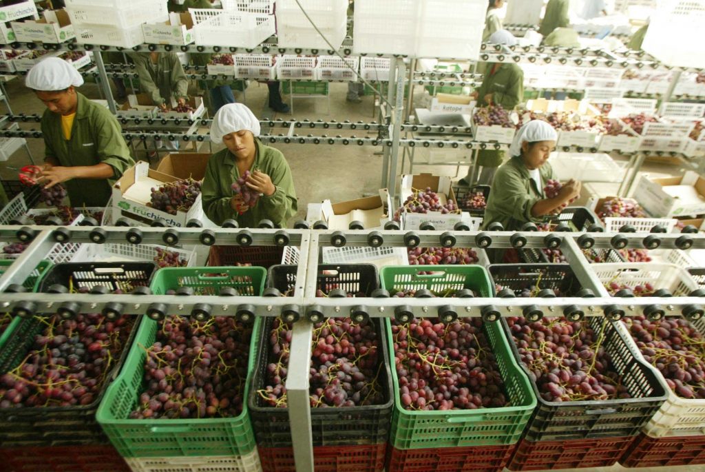 Dip in Peru’s agrifood exports © ADEX