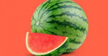 Don Camillo increases size of seedless Camilla watermelon