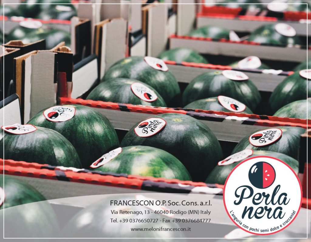 Francescon increases production of smooth melon and black pearl watermelon