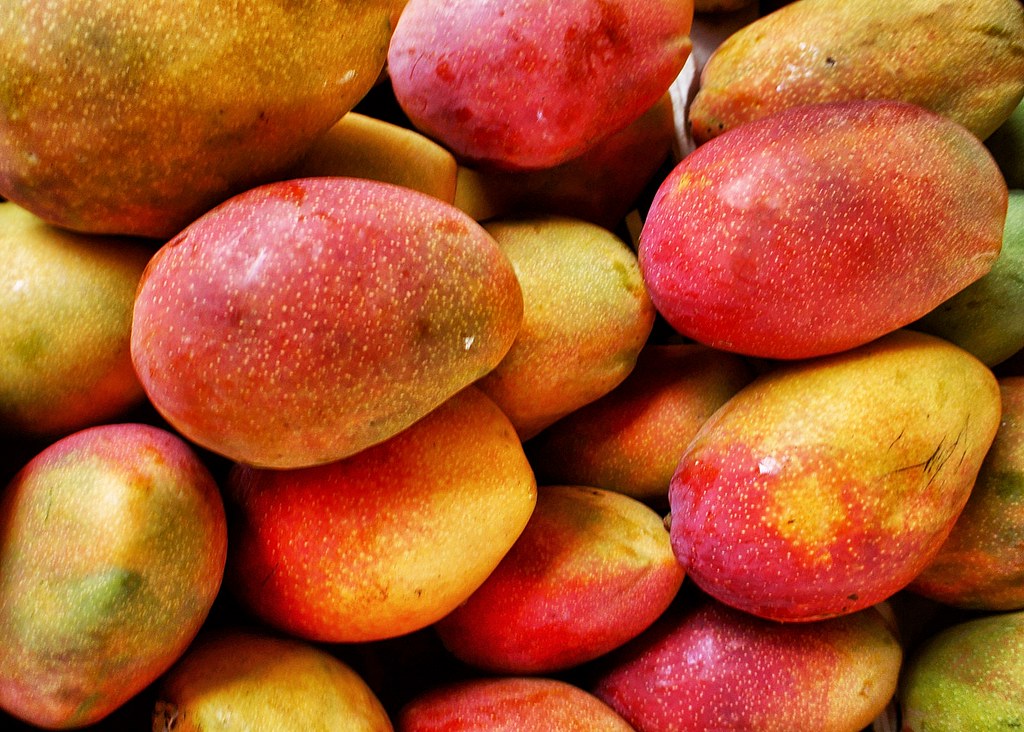 Pakistan’s mango exports vastly exceed predictions