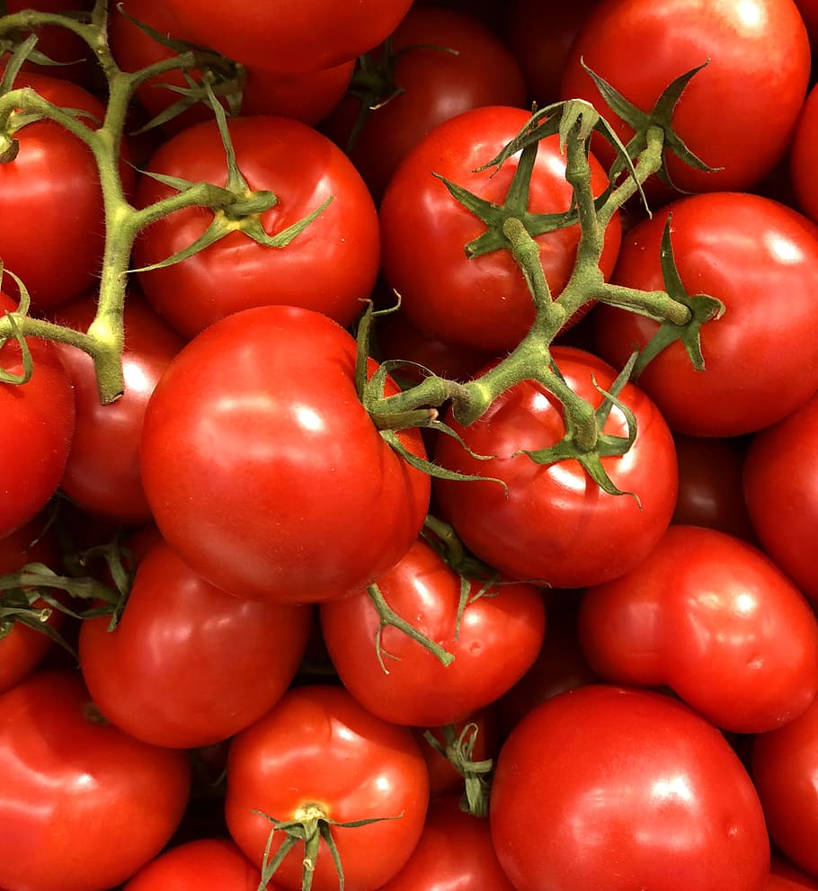 EU tomato production continues to fall