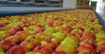 Apples from Europe at the market of UAE