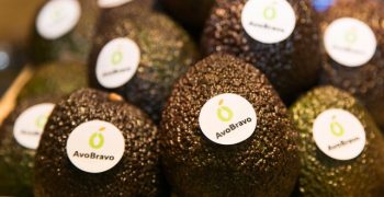AvoBravo: an innovative project for Russian consumers