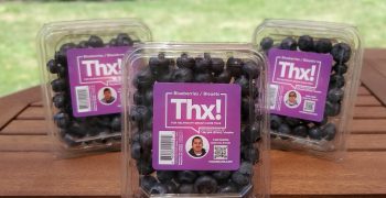 Thx! Announces Independent Advisory and Transparency Board