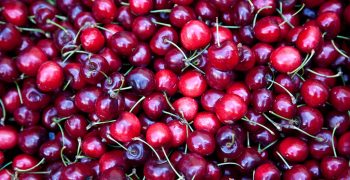 Global cherry crop climbs slightly despite lower EU and US harvests