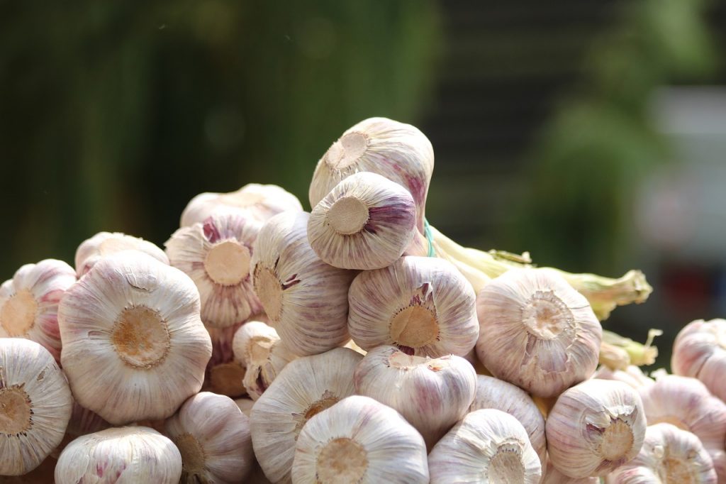 Chinese garlic floods market pushing prices down