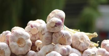Chinese garlic floods market pushing prices down