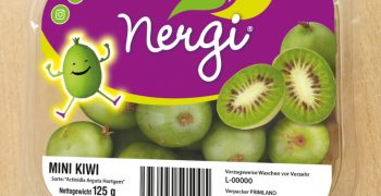 NERGI®: increased volumes  and commitment to sustainable development 