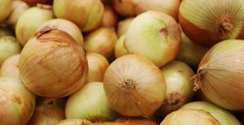 40% smaller Spanish onion crop
