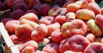 Turkey looks to Far East to expand export markets for stone fruit