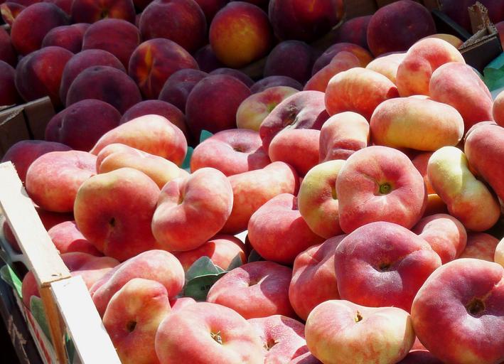 Turkey looks to Far East to expand export markets for stone fruit