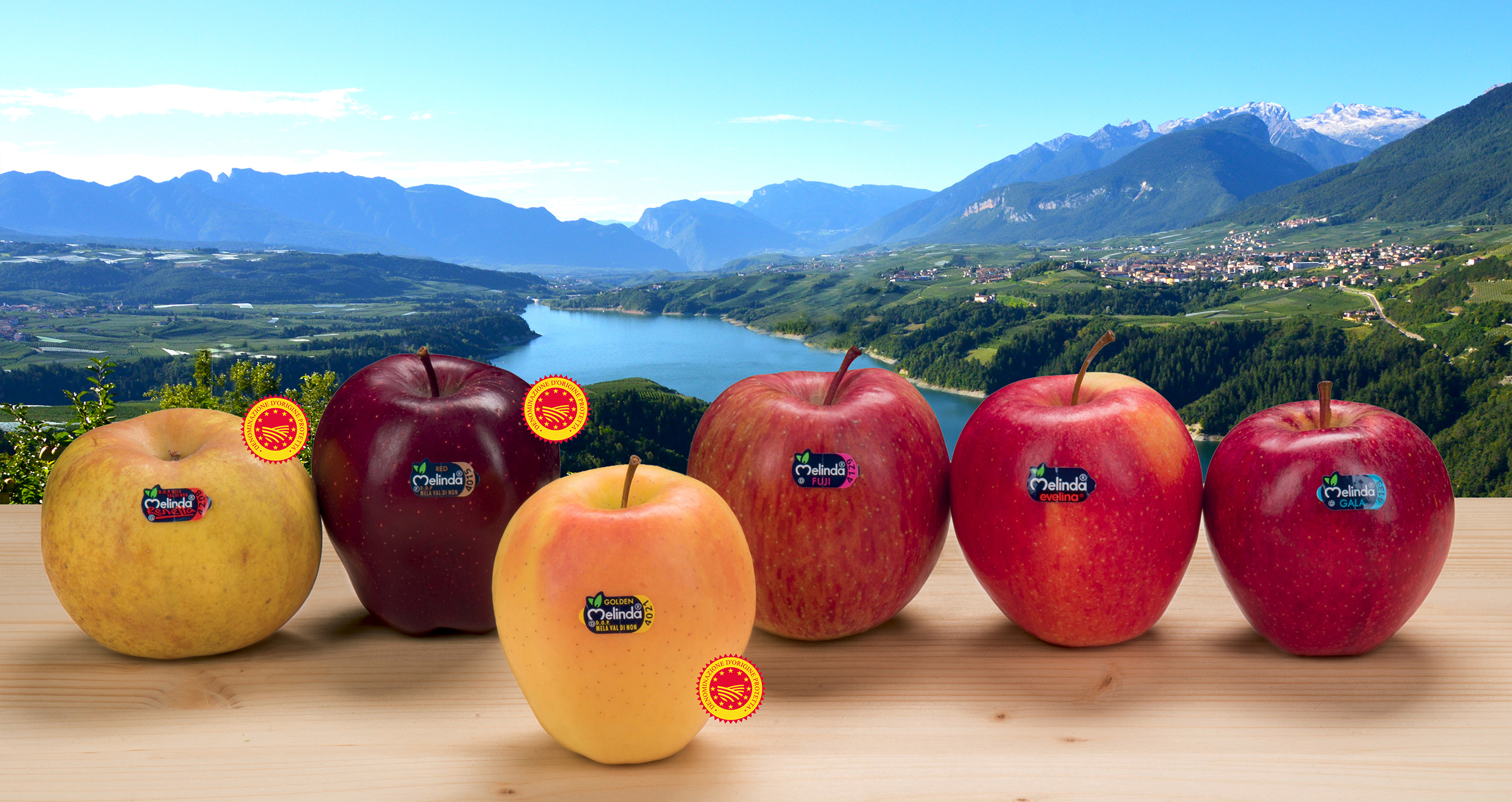 Melinda apples to debut in Asia 