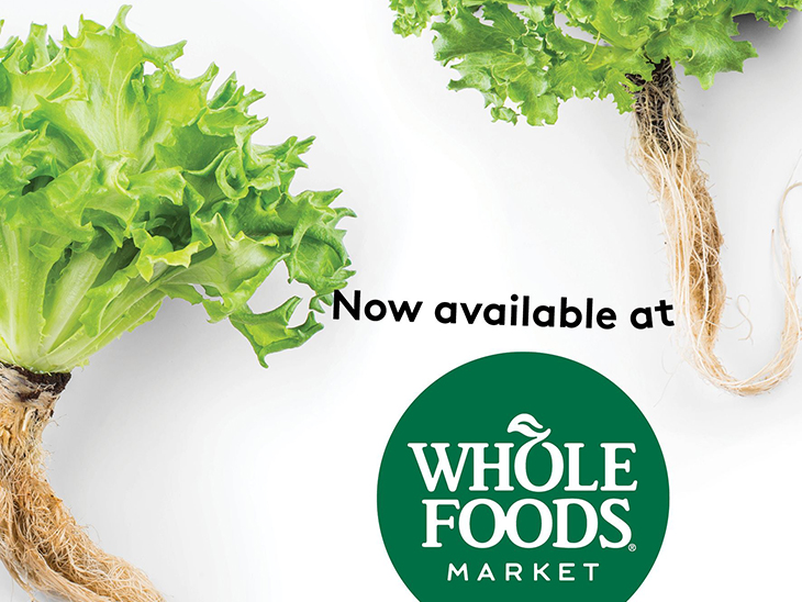 Infarm expands in UK with Whole Foods deal © Infarm