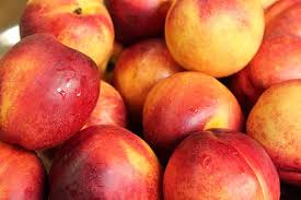 5% drop in global peach and nectarine crop 