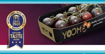 YOOM™ tomato wins prestigious Three Star Superior Taste Award in recognition of its marvelous taste