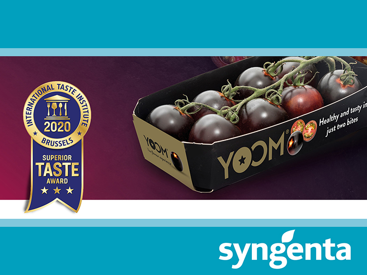 YOOM™ tomato wins prestigious Three Star Superior Taste Award in recognition of its marvelous taste 