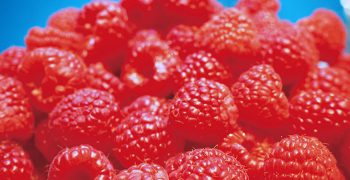 The great raspberry scam