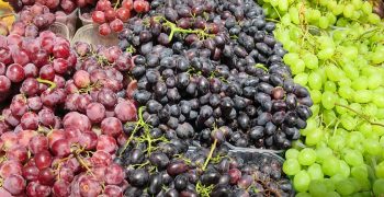 US and Chile vie for share of competitive South Korean grape market
