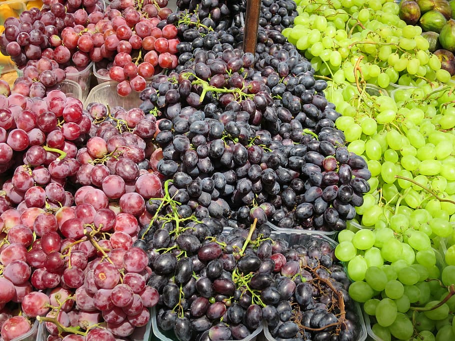 US and Chile vie for share of competitive South Korean grape market