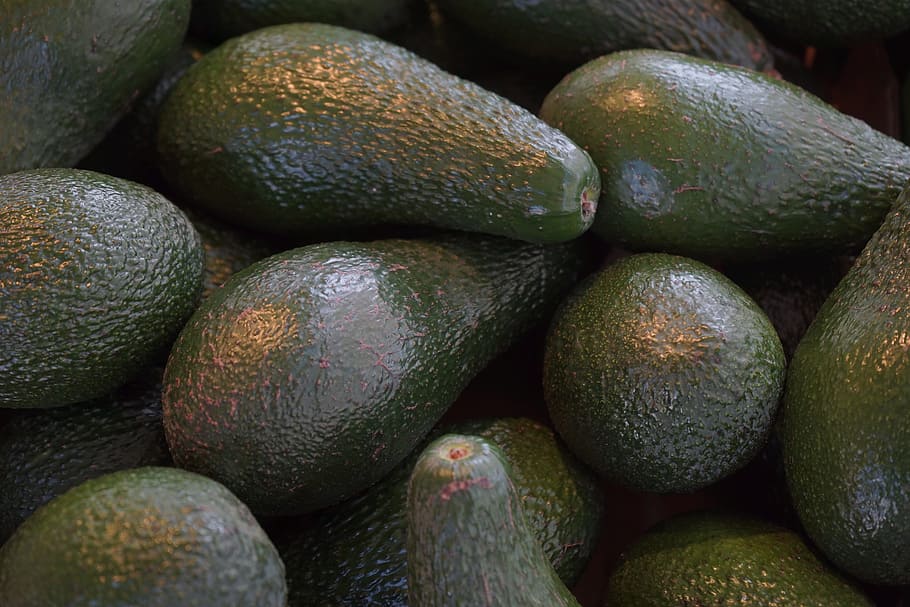 First Myanmar avocados land in UK