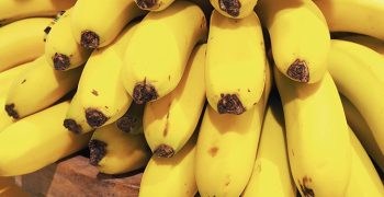 Study finds Ecuador’s banana sector to be sustainable