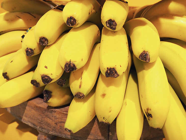 Study finds Ecuador’s banana sector to be sustainable