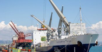 Zespri ships 600,000 tons of New Zealand kiwis to world in 2020