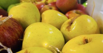 First Polish apples land in Taiwan