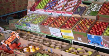 Brazil to step up fruit exports to Middle East