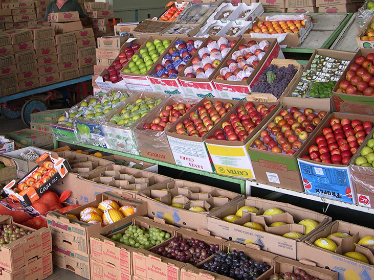 Brazil to step up fruit exports to Middle East © Réussir Fruits et Légumes