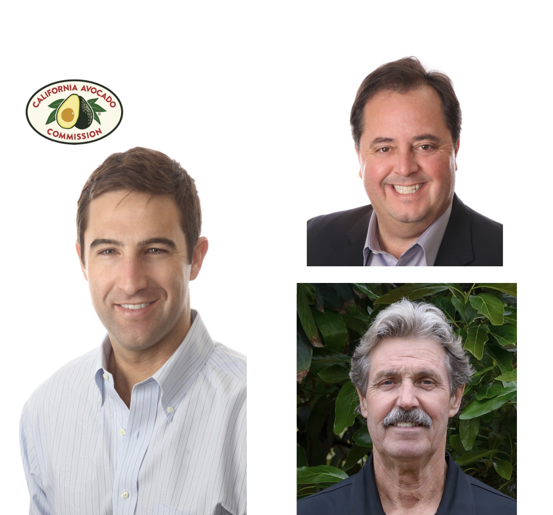 California Avocado Commission announces new board officers and marketing commitee