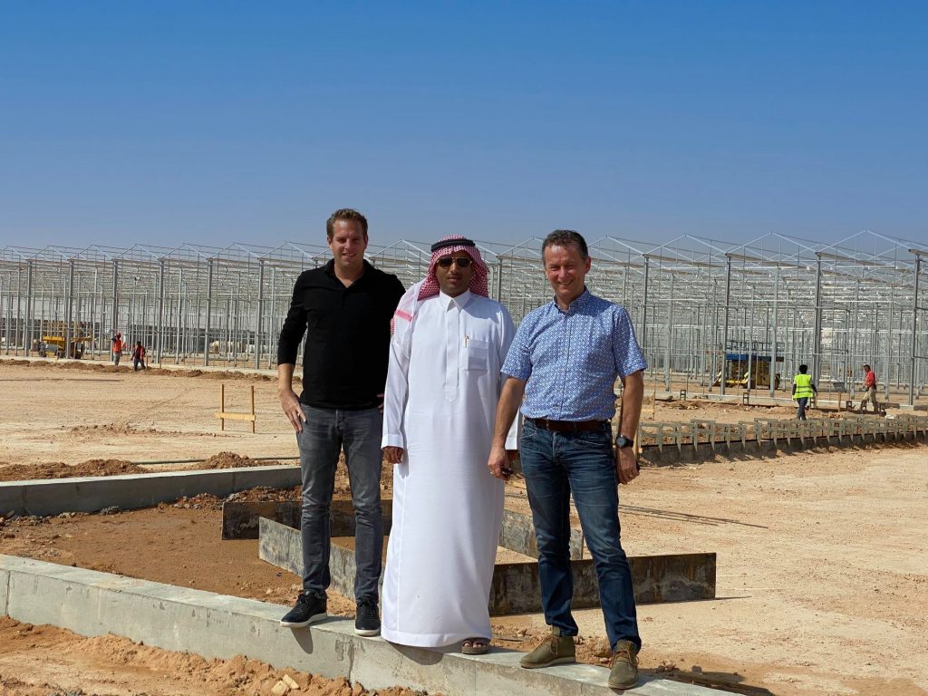 Sustainable vegetable production in Saudi Arabian desert under 80 hectares of glass