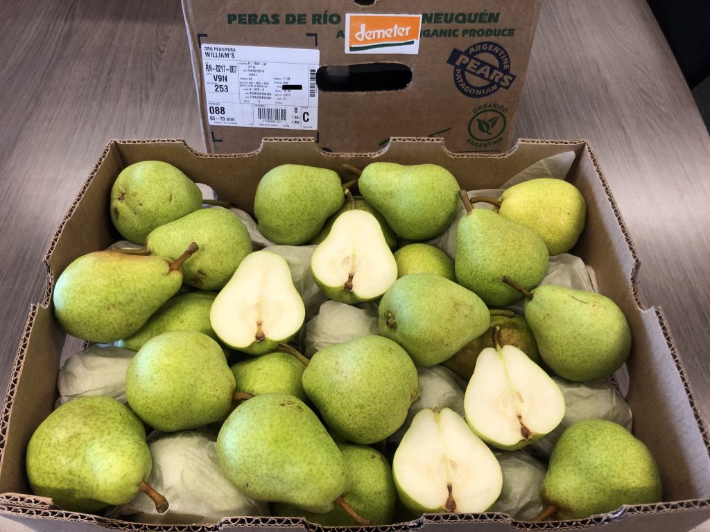 Global Fruit Point: Regular Demeter Pome Fruit Program from Argentina