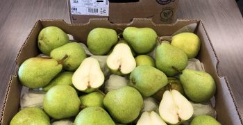 Global Fruit Point: Regular Demeter Pome Fruit Program from Argentina