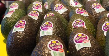 Nature’s Pride brings Apeel avocados to Netherlands, Norway and Switzerland